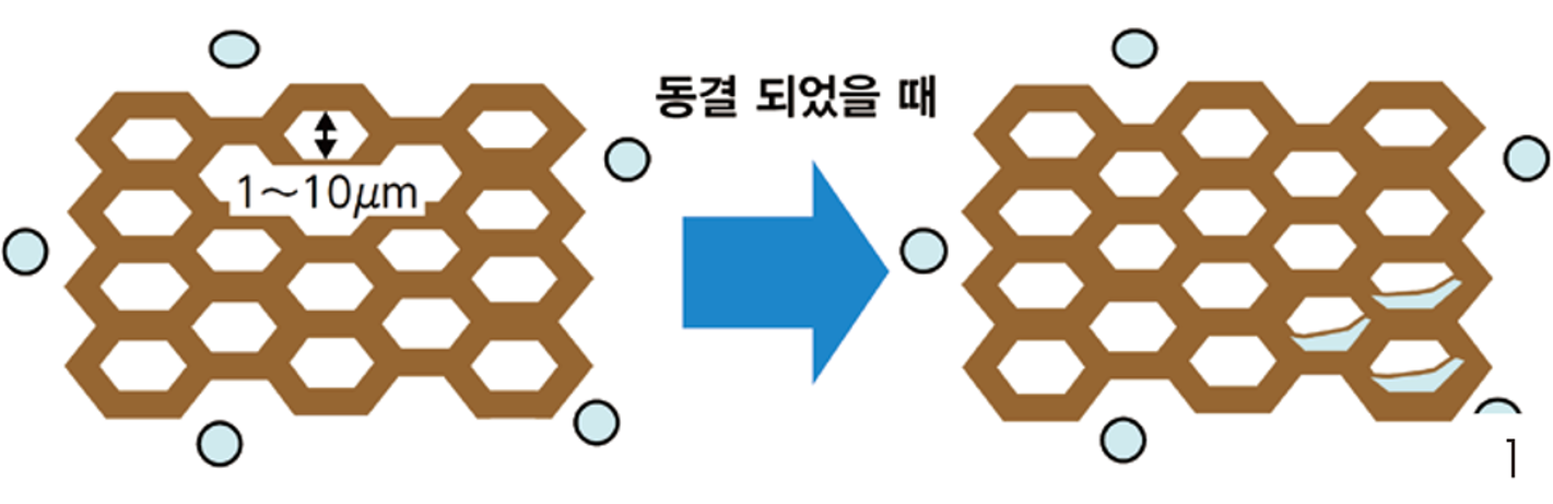 목분의 벌집구조01